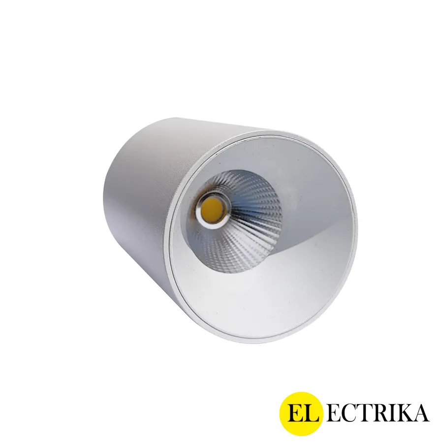 Electrica լուսատու արտաքին (ZH) 10W 3000K սպիտակ