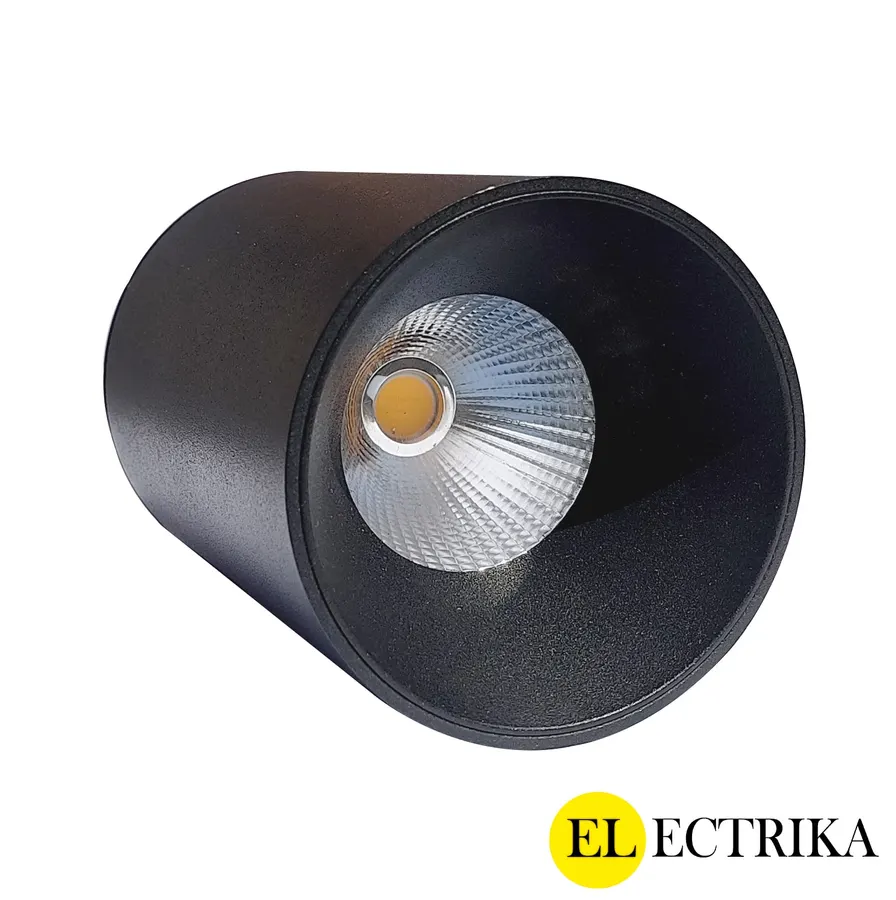 Electrica լուսատու արտաքին (ZH) 10W 4100K սև