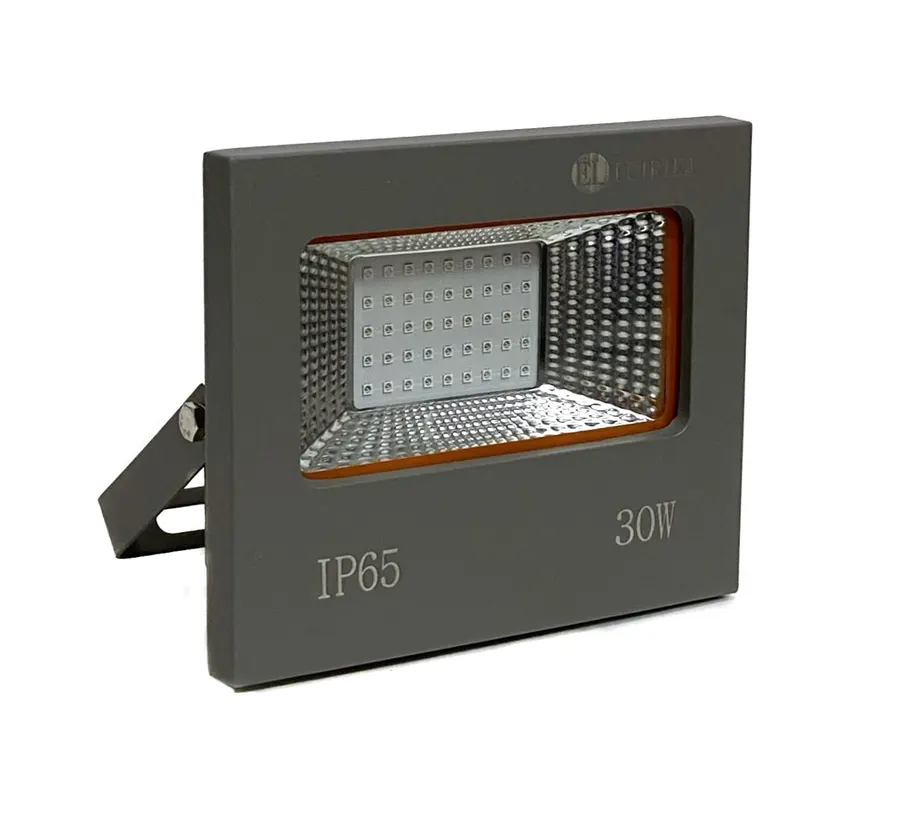 Electrica լուսարձակ GH 30W Red
