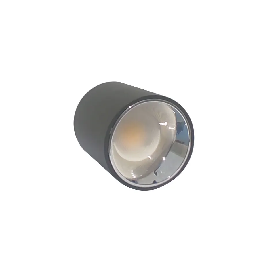 Electrica լուսատու արտաքին (F10) 10W 4100K սև-խրոմ 1/60