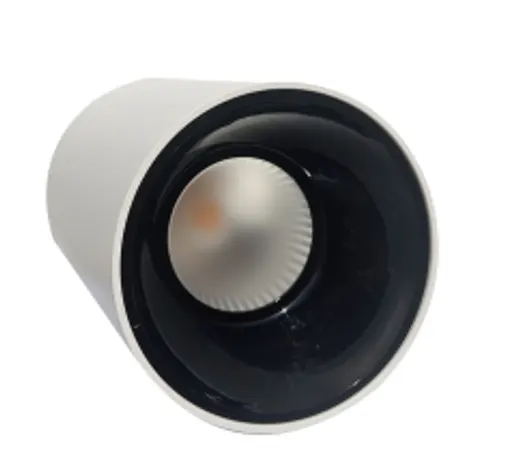 Electrica լուսատու արտաքին (T30) 30W 4100K սպիտակ-սև