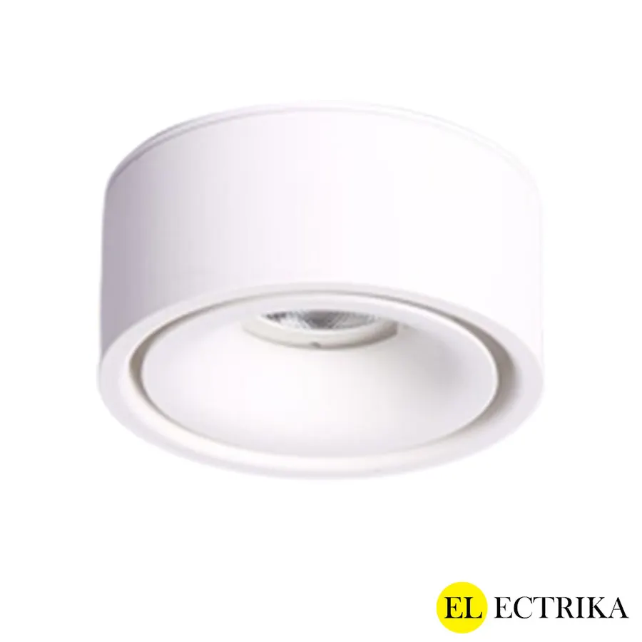 Electrica լուսատու արտաքին (ZH-H10) 10W 3000K սպիտակ