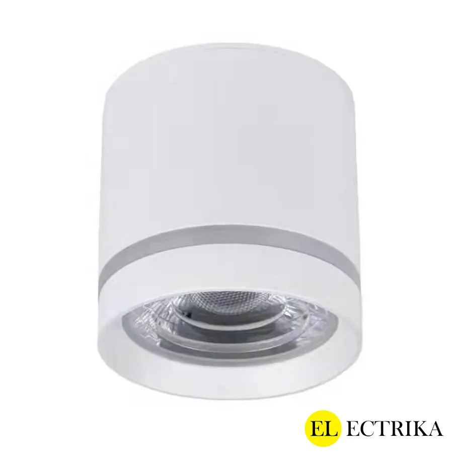 Electrica լուսատու արտաքին (H-L15) 15W 3000K սպիտակ
