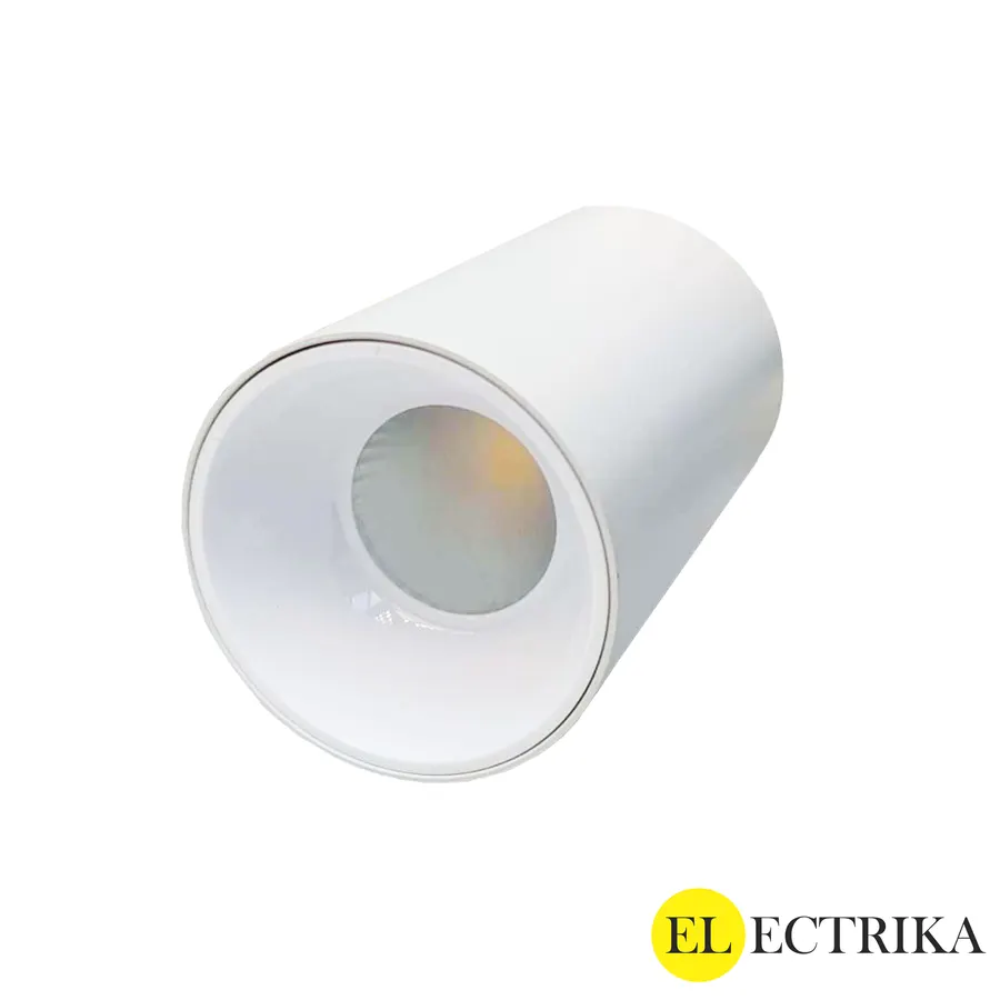 Electrica լուսատու արտաքին (T15) 15W 4000K սպիտակ-սպիտակ 1/25