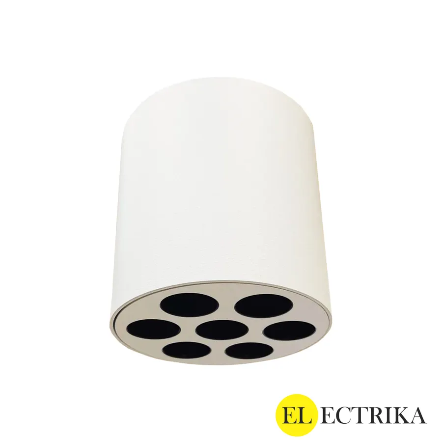 Electrica Armlight (L-M14-SF) լուսատու արտաքին 14W 4000K կլոր