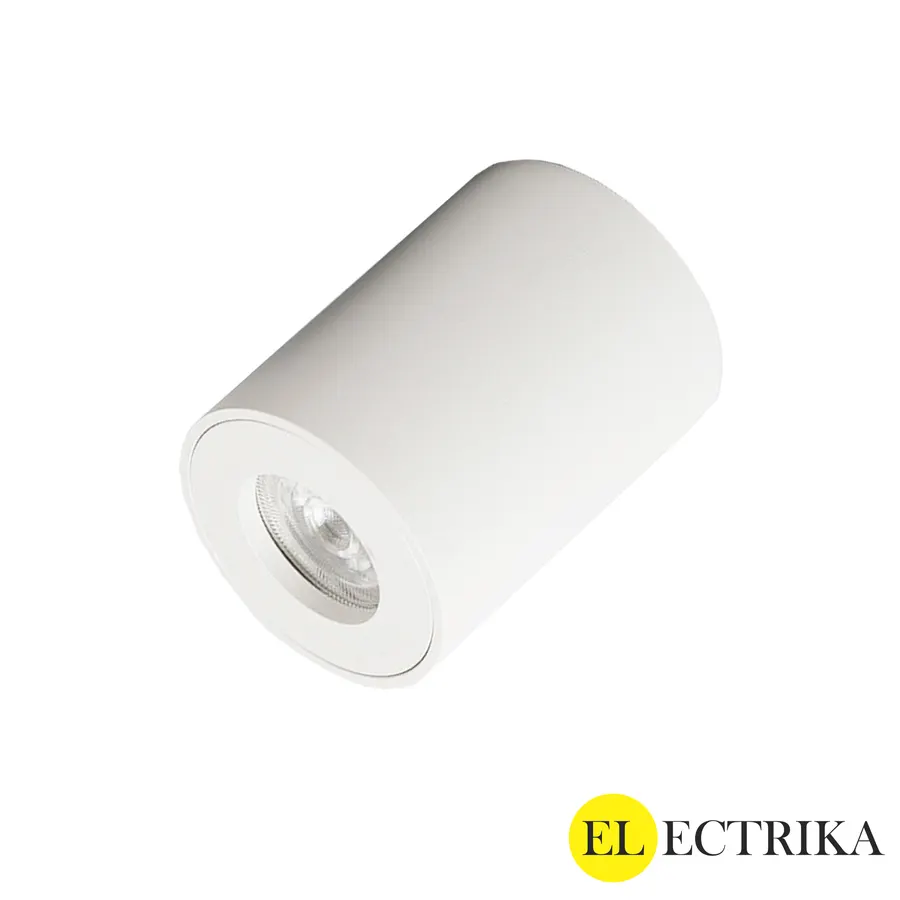 Electrica լուսատու արտաքին (NW-30153K) 15W 3000K սպիտակ