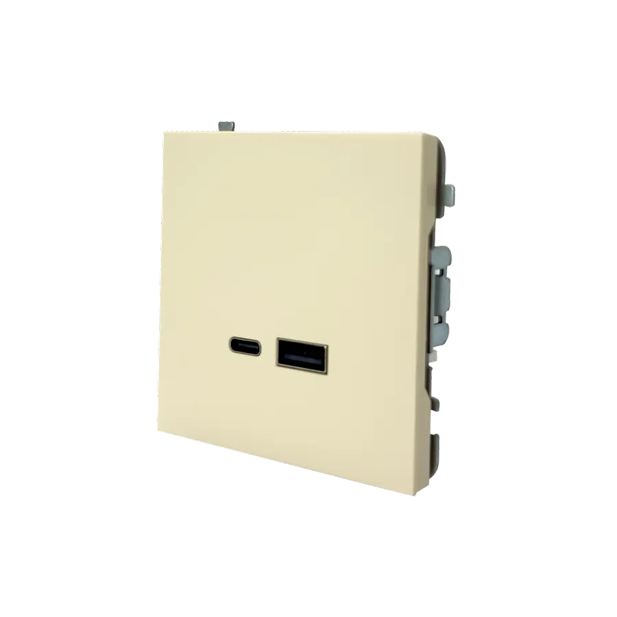 Electrica Lavanda լիցքավորիչ USB A+C 2.4А 5V 12W բեժ (1/10)