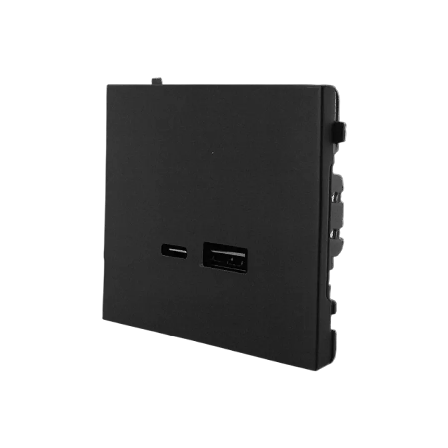 Electrica Lavanda լիցքավորիչ USB A+C 2.4А 5V 12W սև (1/10)